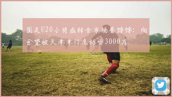 国足U20小将成转会市场香饽饽：向余望被天津津门虎标价3000万